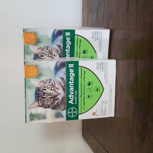 Advantage II for 5-9 pound cats. Package of 6 in each. Bundle Deal!